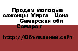 Продам молодые саженцы Мирта › Цена ­ 300 - Самарская обл., Самара г.  »    